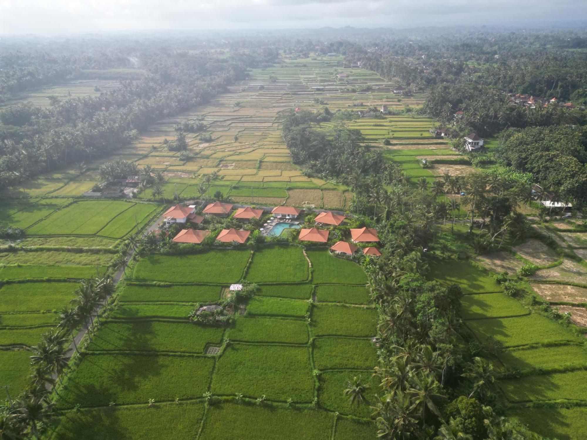 Kampung Uma Dawa Villas And Spa Ubud Exterior foto